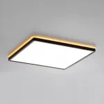 Светильник накладной Citilux NORMA CL749K401