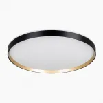 Светильник с пультом Citilux ETALON CL750501R LED RGB