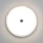 Потолочный светильник Citilux DIXON CL747300V