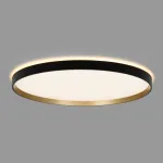 Светильник с пультом Citilux ETALON CL750501R LED RGB