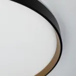 Светильник с пультом Citilux ETALON CL750501R LED RGB