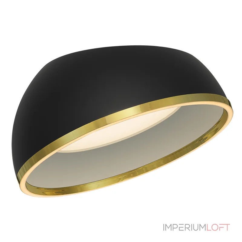 Потолочный светильник Citilux FLOOM CL736151