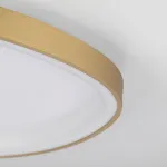 Потолочная люстра Citilux GENKA SMART CL756A142