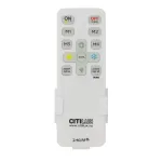Потолочный светильник Citilux FLOOM CL736151