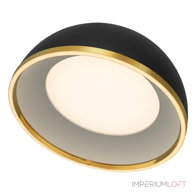 Потолочный светильник Citilux FLOOM CL736151