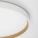Светильник с пультом Citilux ETALON CL750400R LED RGB