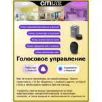 Умный потолочный светильник Citilux Диамант Смарт CL713A40G