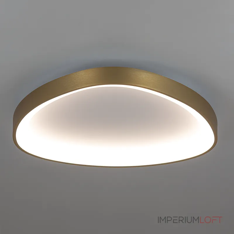 Потолочная люстра Citilux GENKA SMART CL756A142