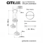 Подвесной светильник Citilux Дуэт CL719030 от ImperiumLoft