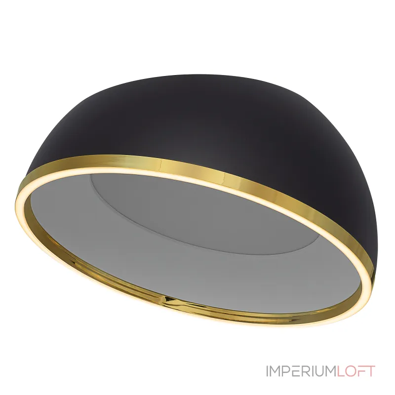 Потолочный светильник Citilux FLOOM CL736151
