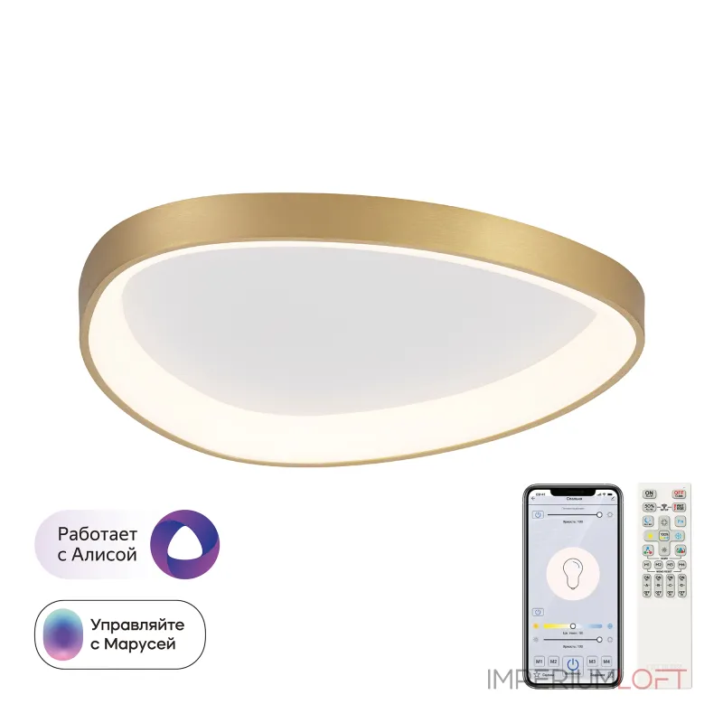 Потолочная люстра Citilux GENKA SMART CL756A142