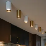 Потолочный светильник Citilux AXEL CL512110R