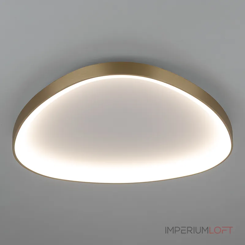 Потолочная люстра Citilux GENKA SMART CL756A162