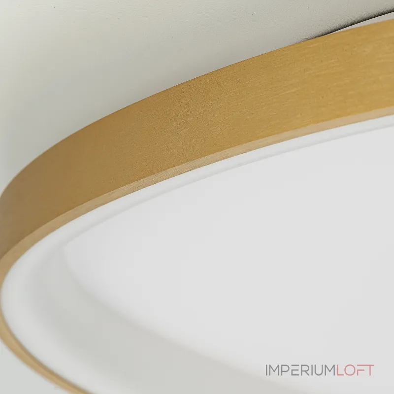 Потолочная люстра Citilux GENKA SMART CL756A162
