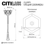 Уличный парковый светильник Citilux FORTS CLU09P3