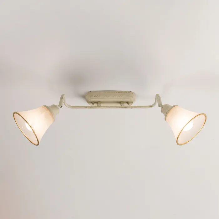 Спот поворотный Citilux Прованс CL511524 от ImperiumLoft