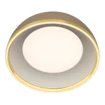 Потолочный светильник Citilux FLOOM CL736152