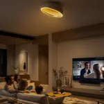 Потолочный светильник Citilux FLOOM CL736152
