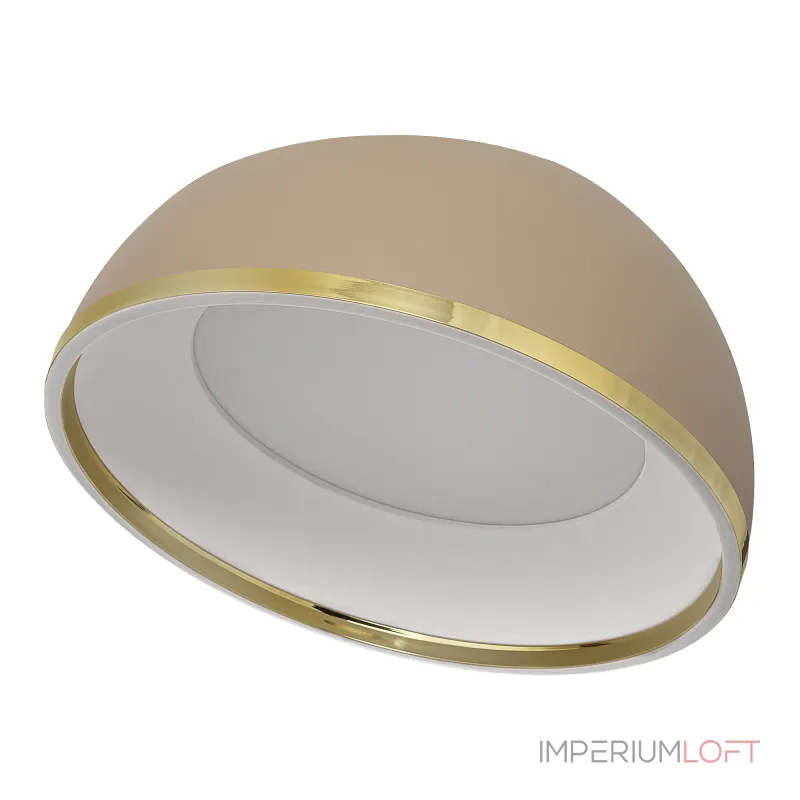 Потолочный светильник Citilux FLOOM CL736152