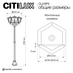 Уличный парковый светильник Citilux FORTS CLU10P3 от ImperiumLoft
