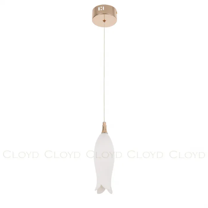 Подвесной светильник Cloyd ARGANA 11242 от ImperiumLoft