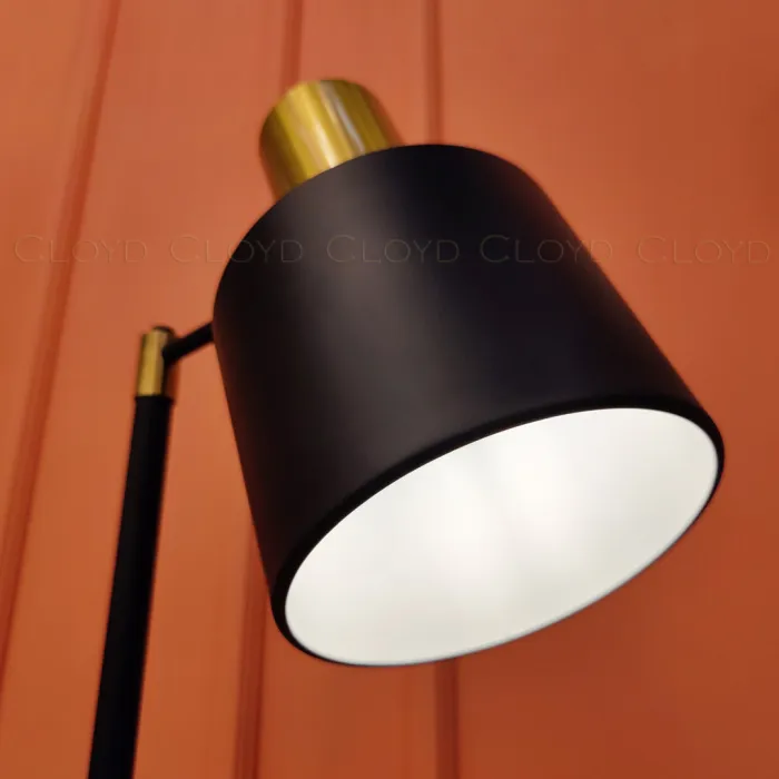 Торшер Cloyd RINCON 40016 от ImperiumLoft