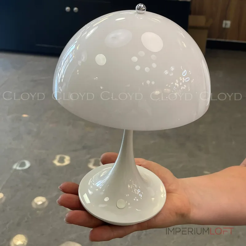 Настольная лампа Cloyd AKTUELL 30129 Настольная лампа Cloyd AKTUELL 30129
