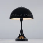 Настольная лампа Cloyd AKTUELL 30130