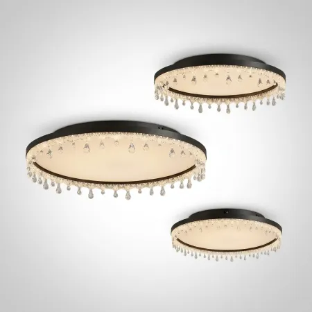 ANDRUS CH