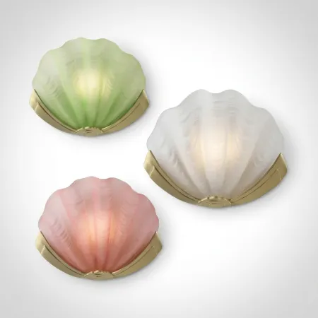 Glass Shell 