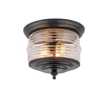 Уличный потолочный светильник Covali PL-30590 Уличный потолочный светильник Covali PL-30590