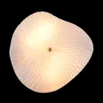 Бра Crystal Lux CONTESSA AP2.2 от ImperiumLoft