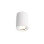 Потолочный светильник Crystal Lux CLT 422 CLT 422C WH