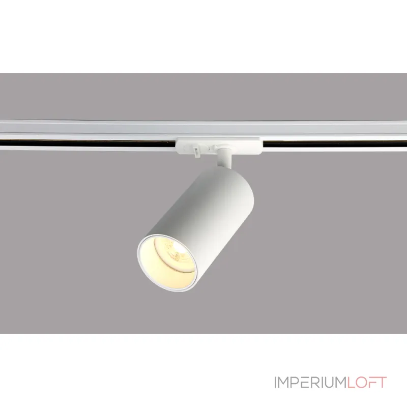 Светильник однофазный Crystal Lux CLT 0.31 013 WH-WH