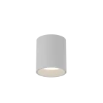 Потолочный светильник Crystal Lux CLT 075C WH