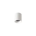 Потолочный светильник Crystal Lux CLT 075C WH