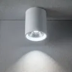 Потолочный светильник Crystal Lux CLT 075C WH