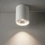 Потолочный светильник Crystal Lux CLT 075C WH