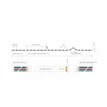 Гибкая светодиодная лента Deko-Light 5050-120-24V-RGB-5m-Silicone 840351