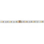 Гибкая светодиодная лента 5050-60-24V-RGB + 4000K-5m-Silicone Deko-Light 840373