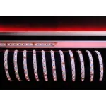 Гибкая светодиодная лента 5050-60-24V-RGB + 3000K-50m Deko-Light 930517