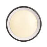 Уличный настенный светильник Deko-Light Canis 731043