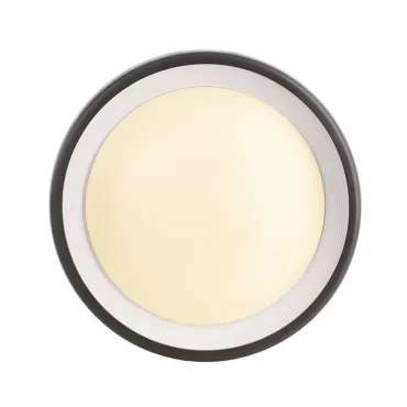 Уличный настенный светильник Deko-Light Canis 731043