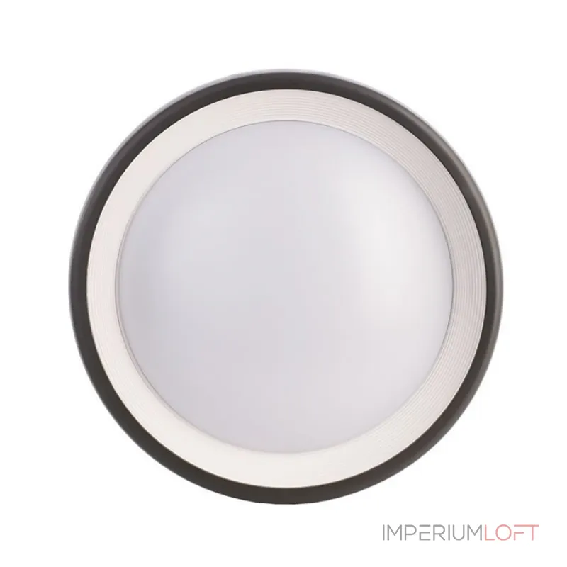 Уличный настенный светильник Deko-Light Canis 731043