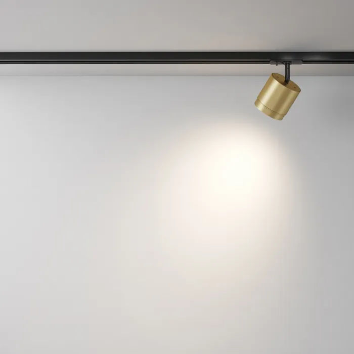 Светильник на штанге Maytoni Polar TR088, 1, GX53, MG от ImperiumLoft