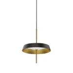 Подвесной светильник Delight Collection MD18001061 MD18001061-1A  black/gold