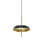 Подвесной светильник Delight Collection MD18001061 MD18001061-1A  black/gold
