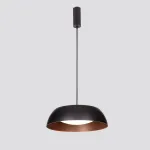 Подвесной светильник Delight Collection 020 PL019-400B black/copper