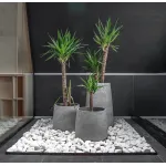 Кашпо Delight Collection Cone CONE NERO