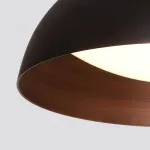Светильник потолочный Delight Collection 020 C019-400B black/copper